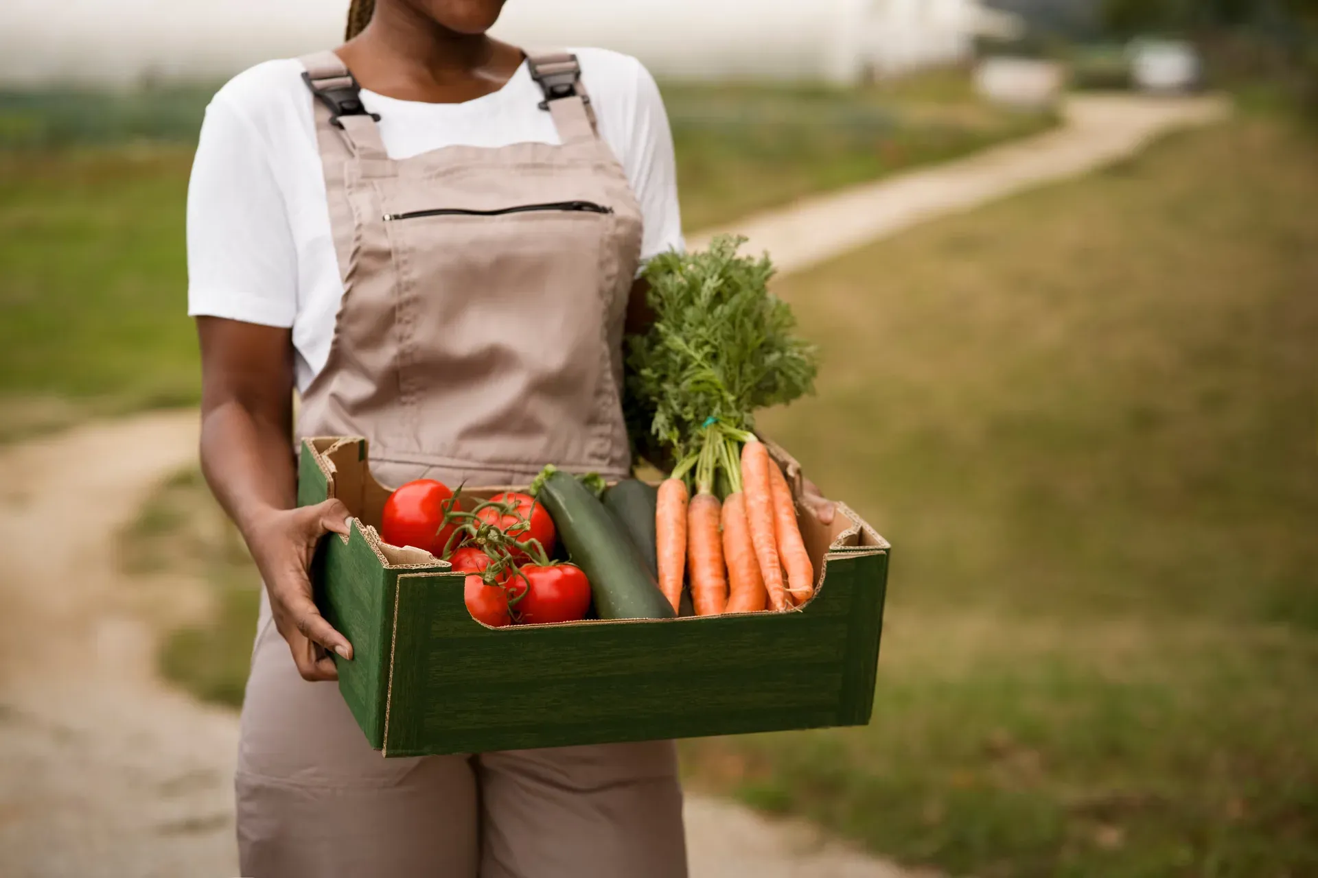 Hands holding fresh produce from a Ghanaian farm